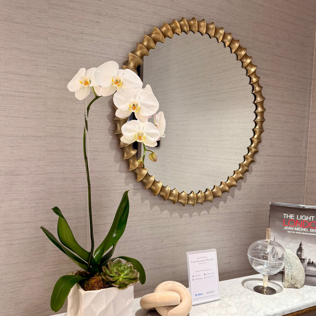 Single Phalaenopsis Orchid in Ceramic Vase