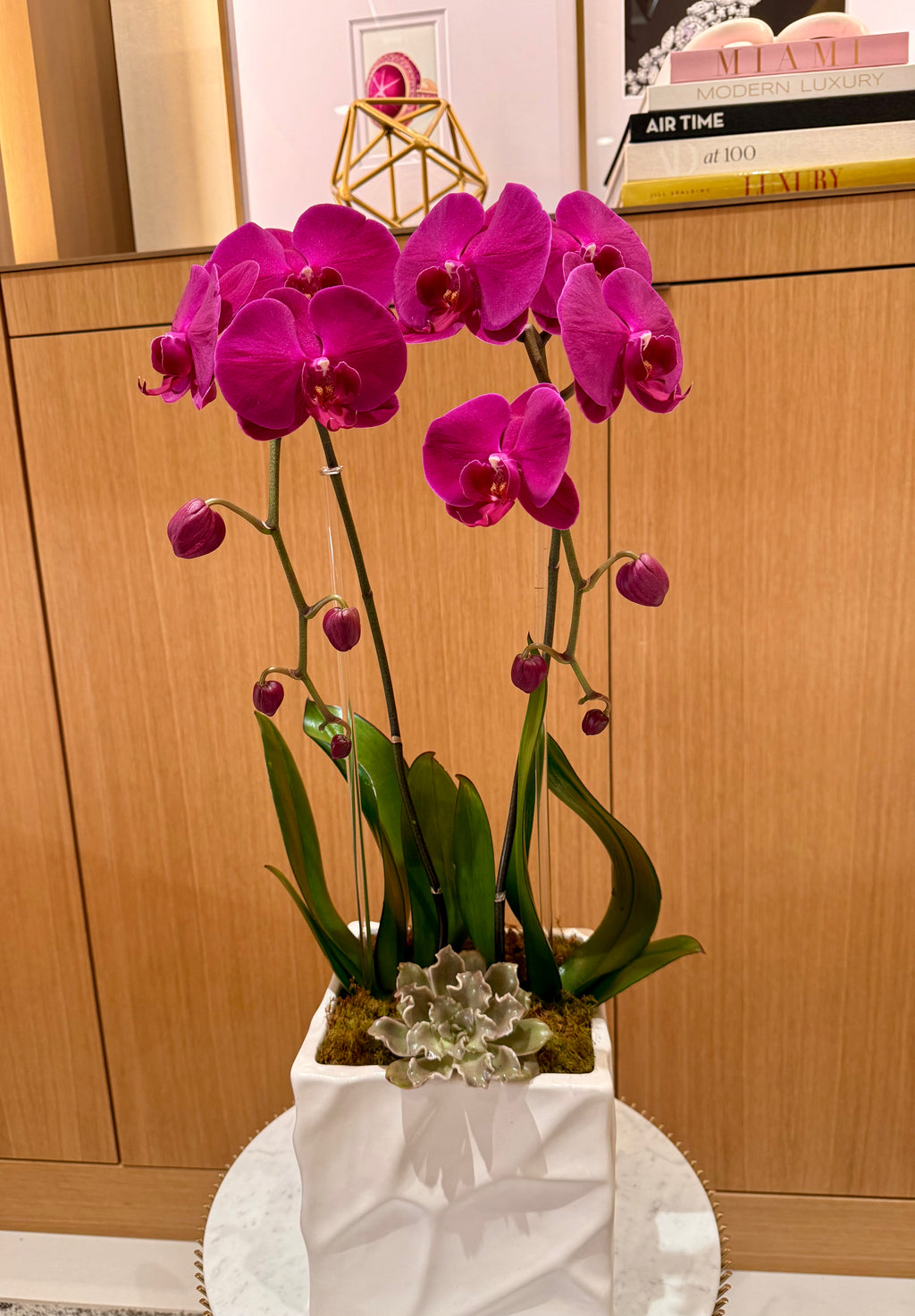 Double Phalaenopsis Orchid Purple Swan