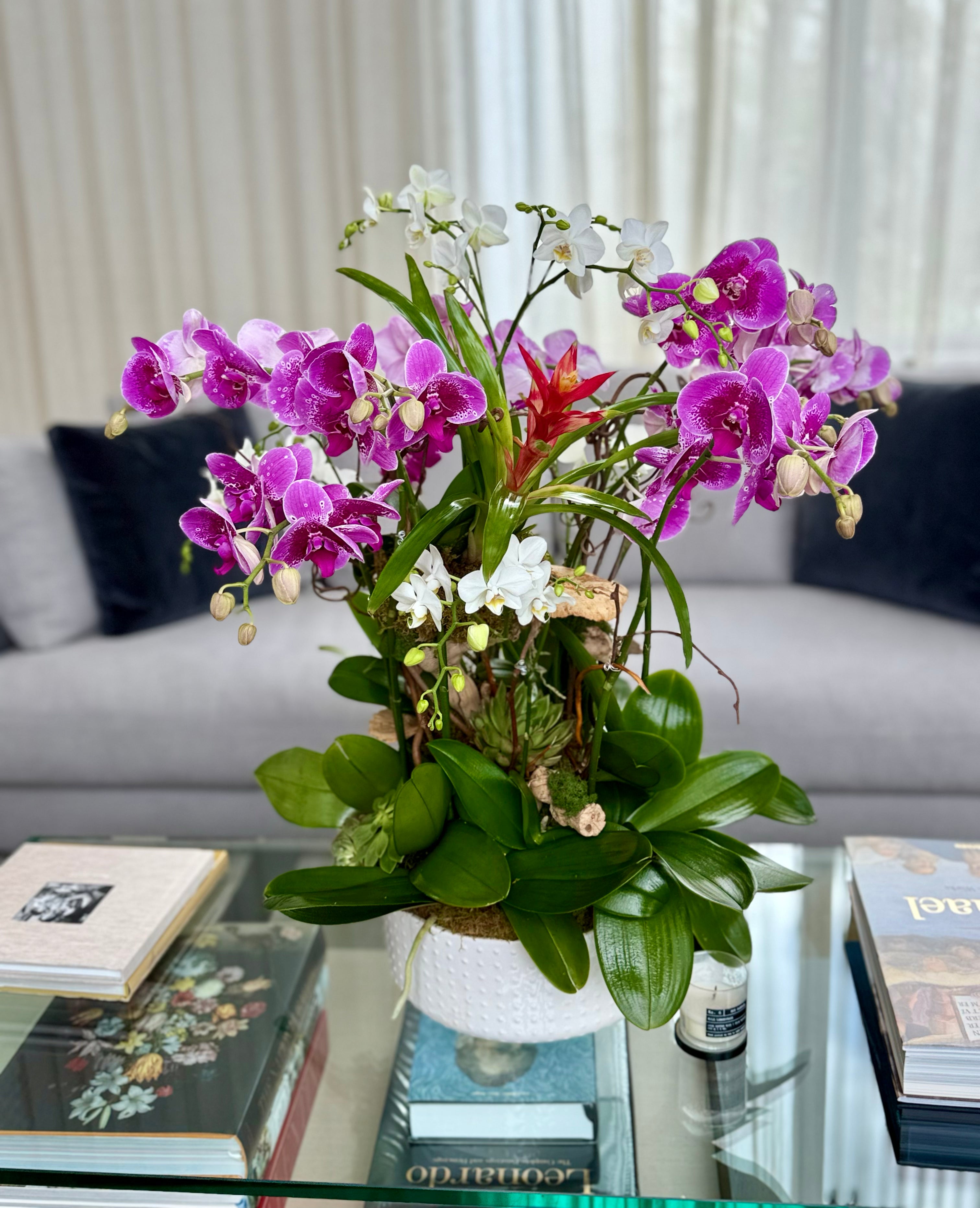 Phalaenopsis and Mini Orchid Floral Bonsai