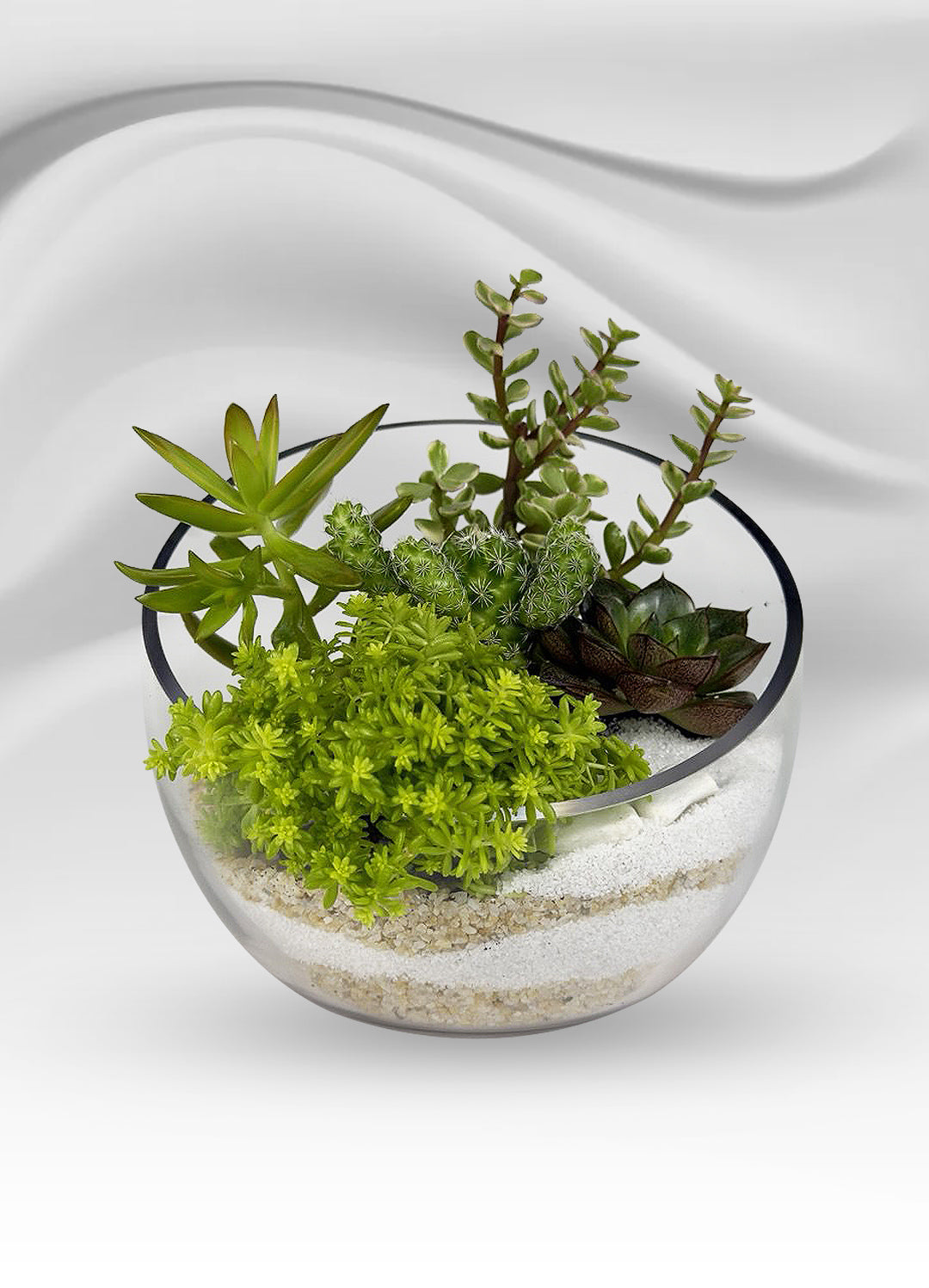 Tilted Glass Succulent Garden