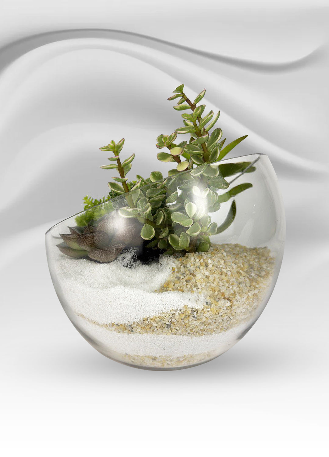 Tilted Glass Succulent Garden