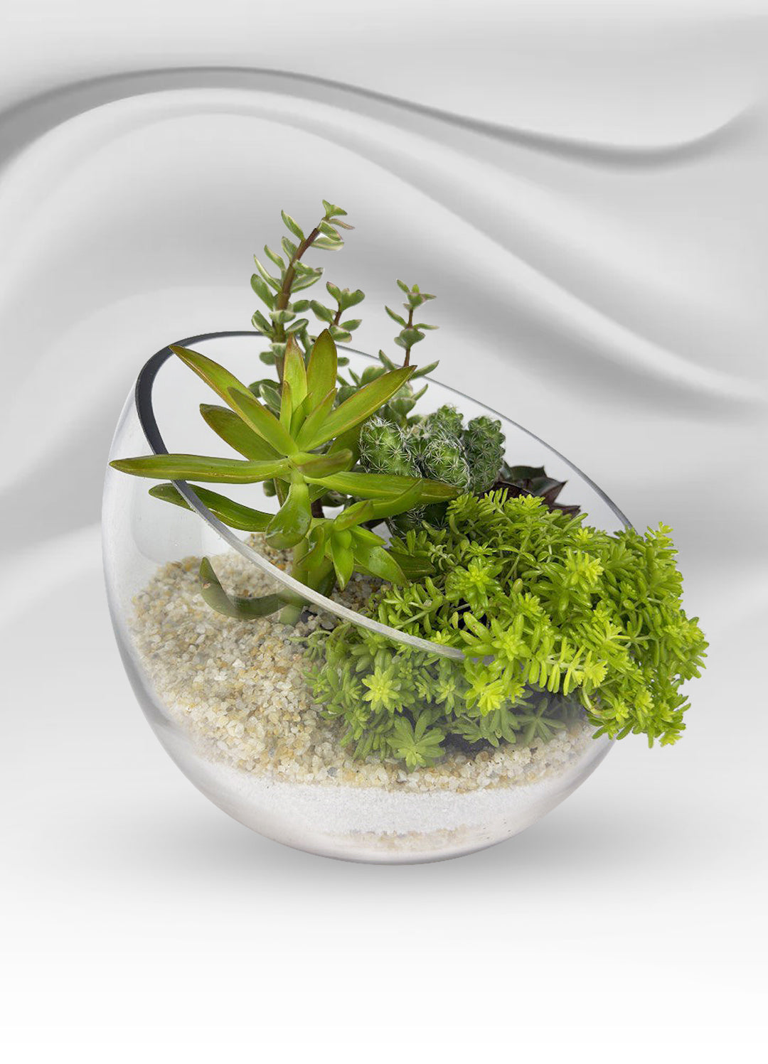 Tilted Glass Succulent Garden