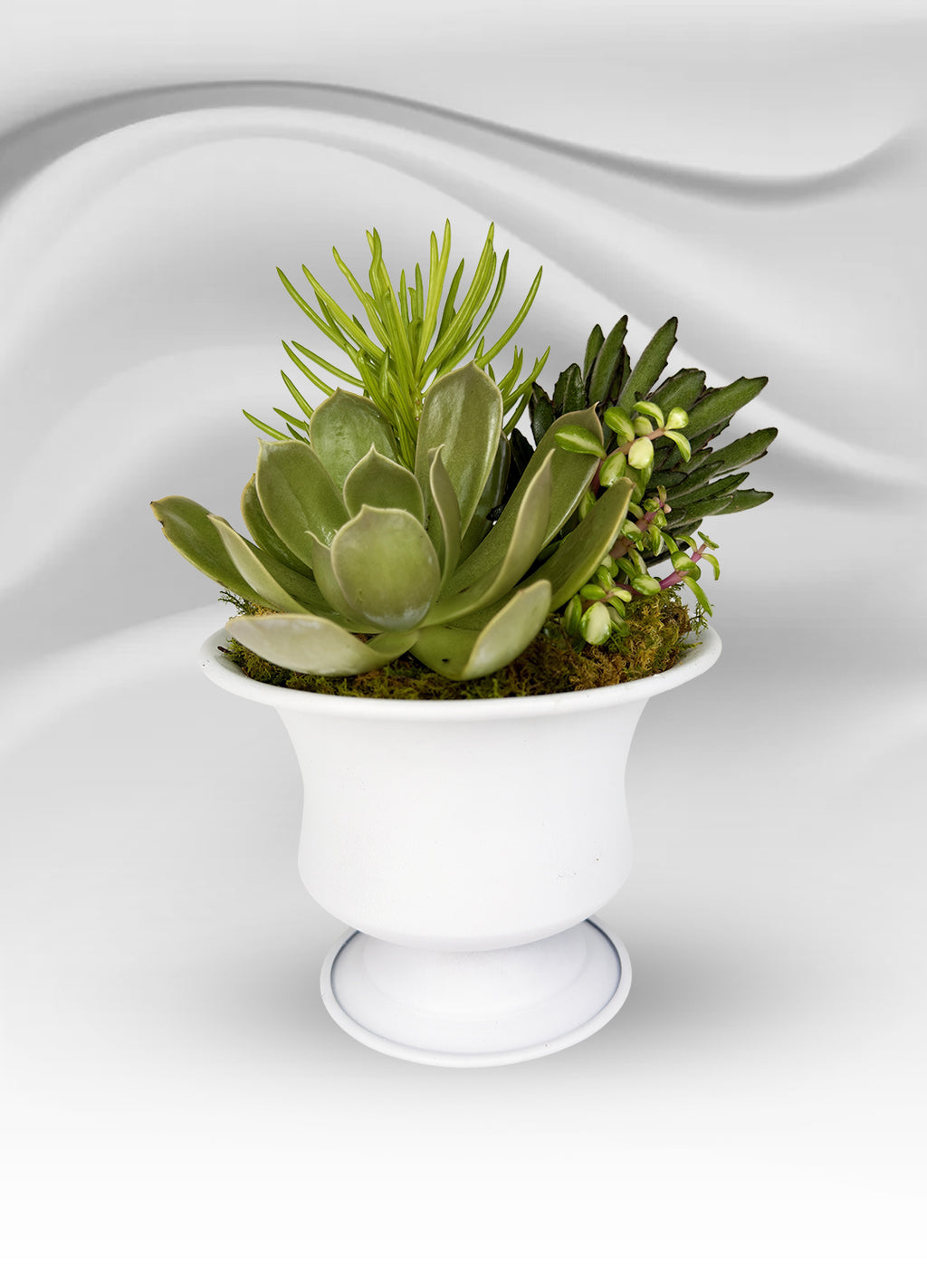 Mini White Metal Succulent Cup