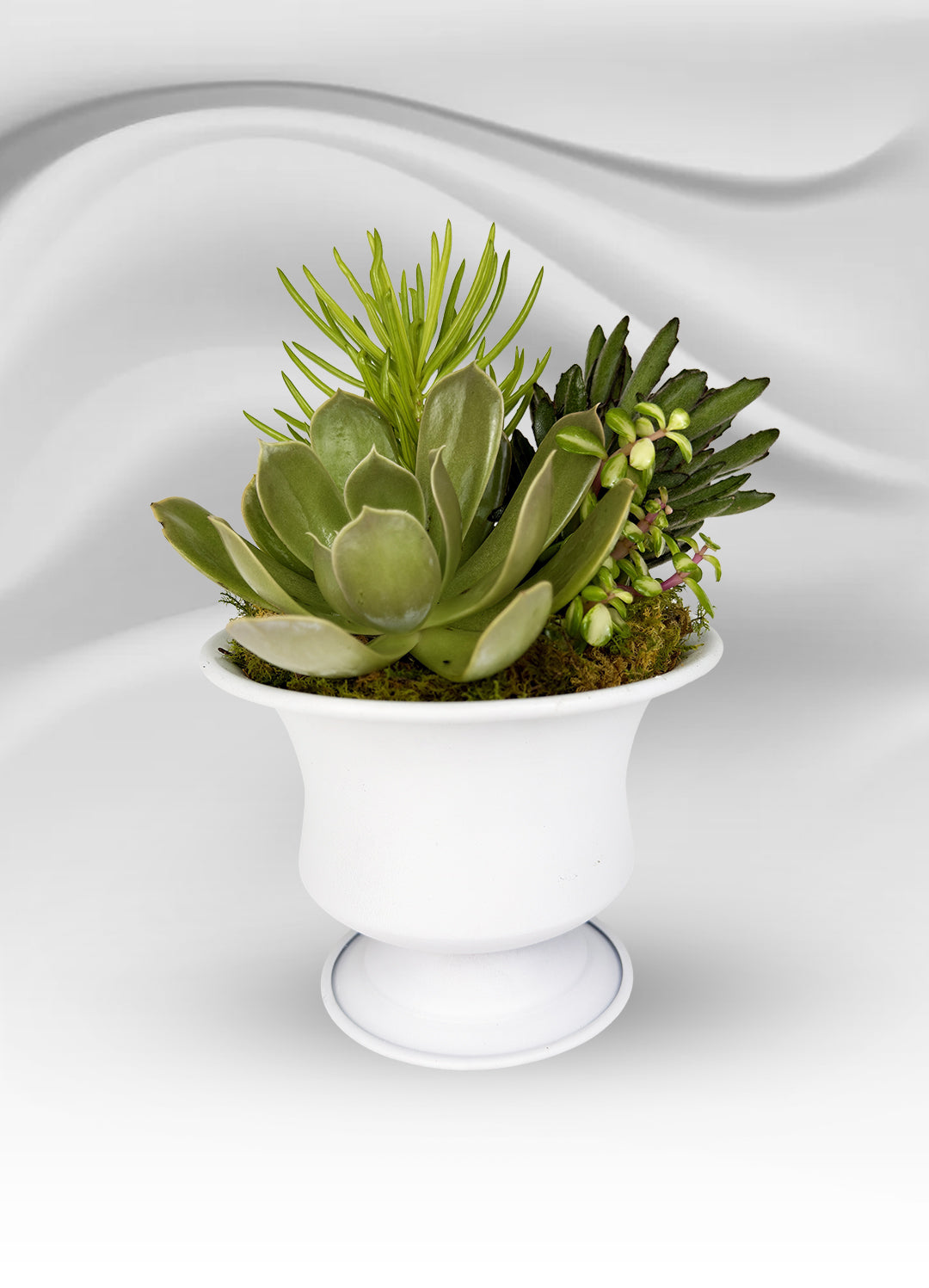 Mini White Metal Succulent Cup