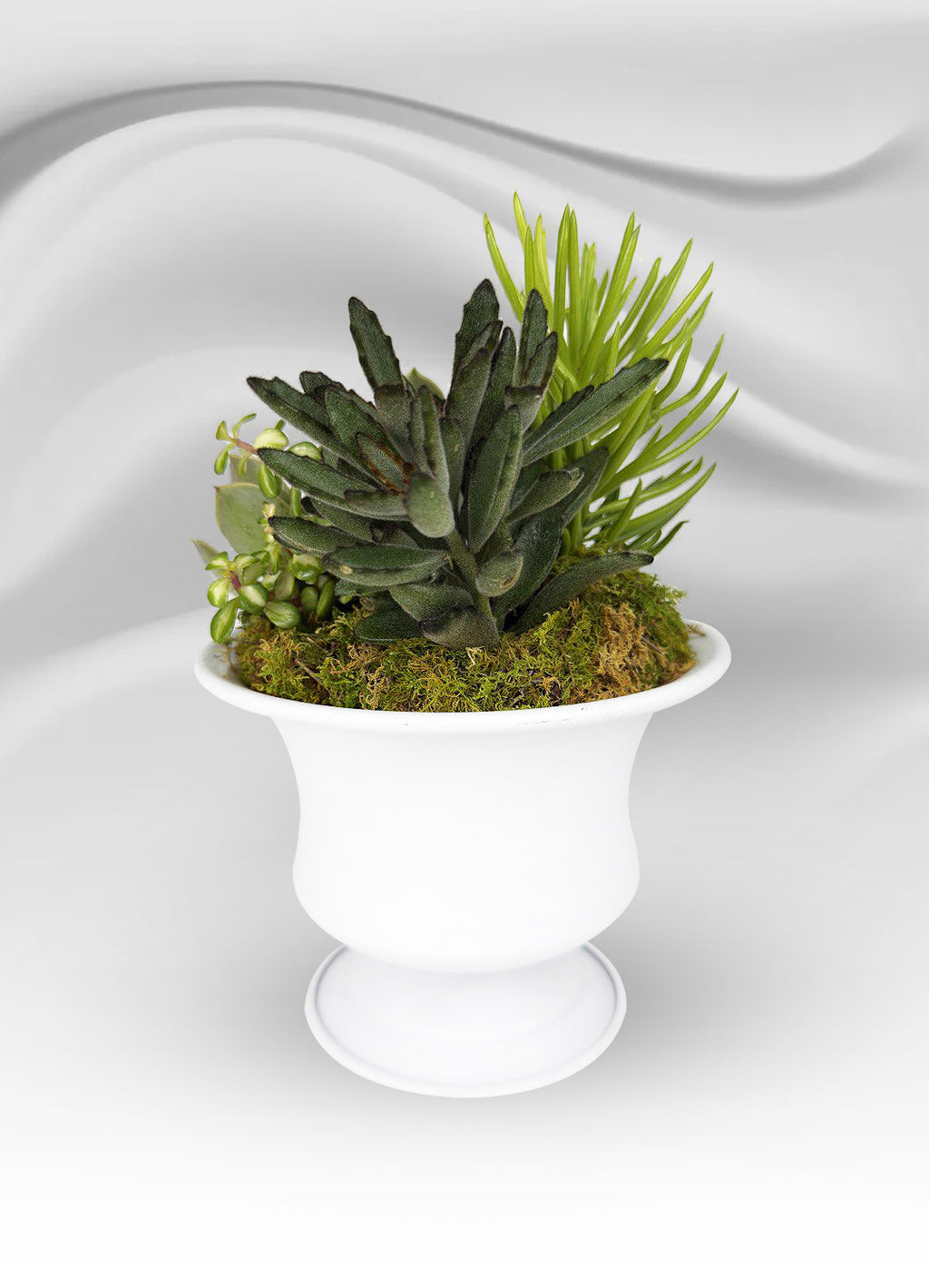 Mini White Metal Succulent Cup