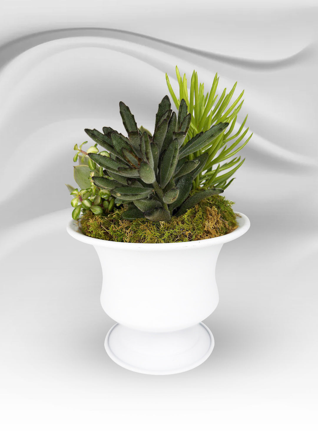 Mini White Metal Succulent Cup