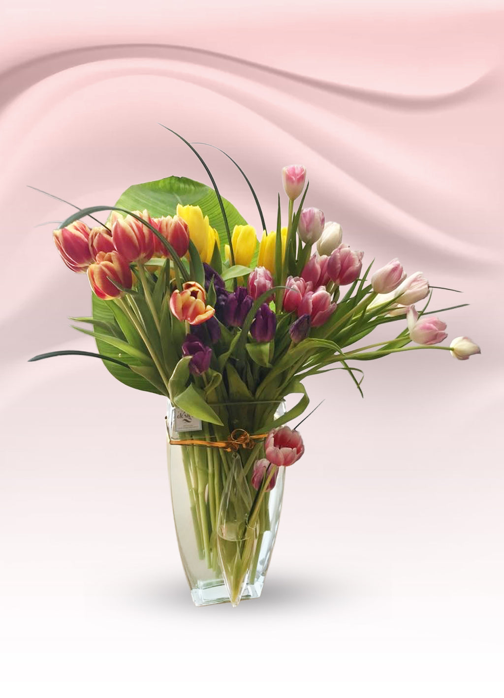 Blooming Tulips