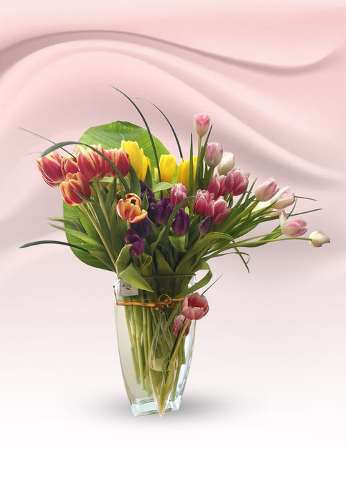 Blooming Tulips