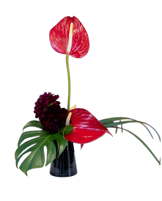 Your Image