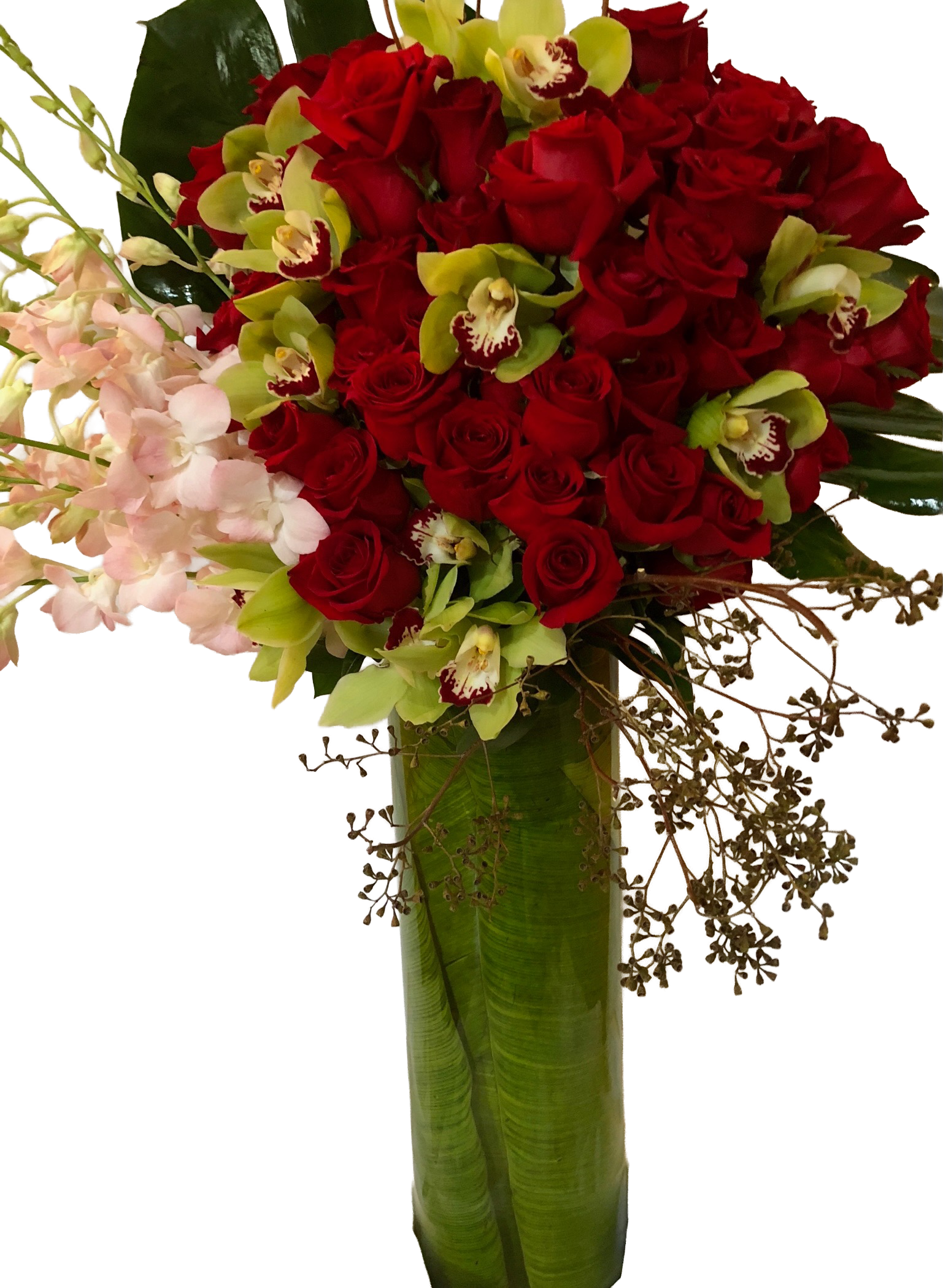 Your Image