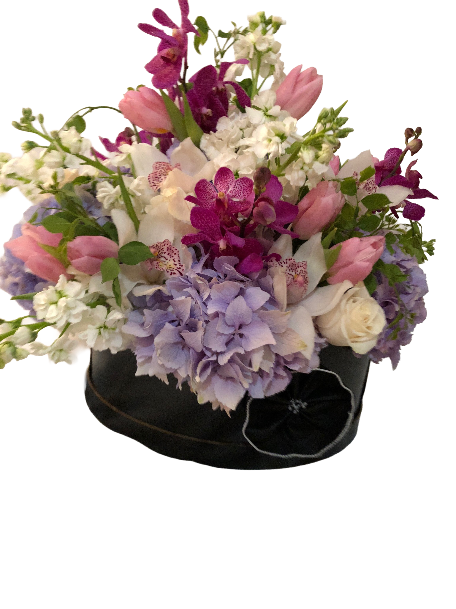 Your Image