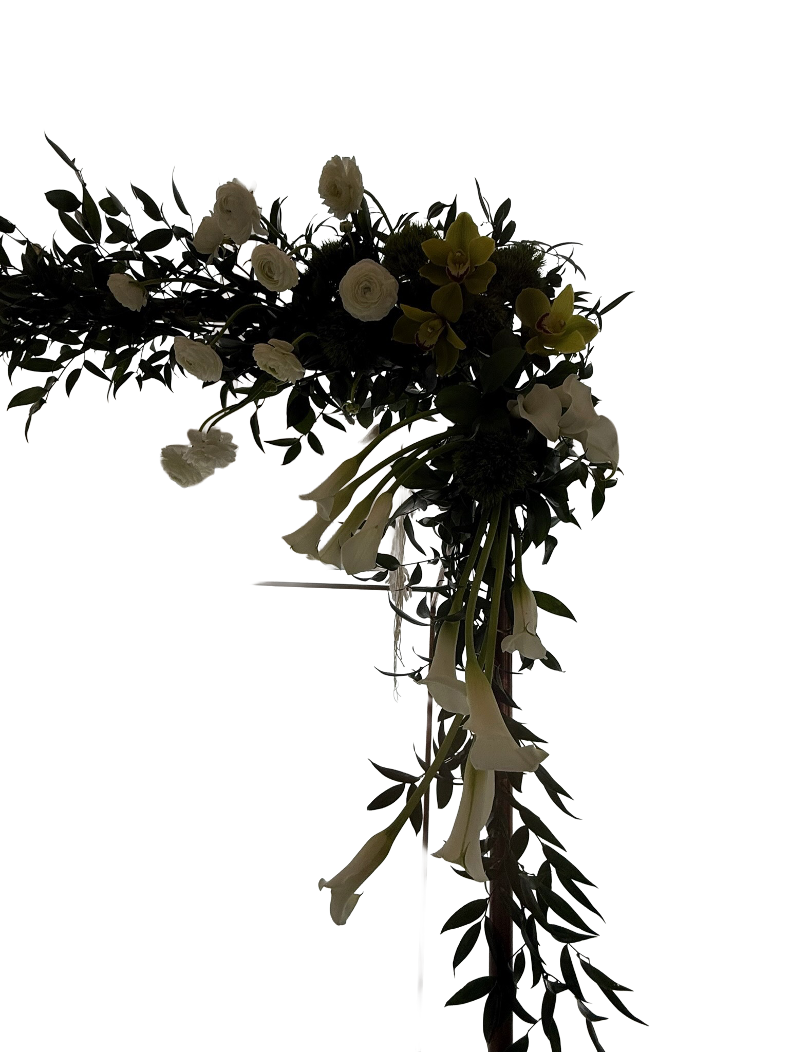 Your Image
