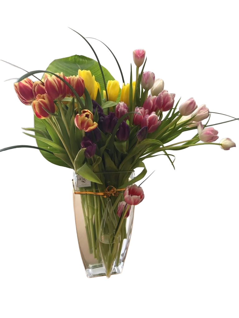 Your Image